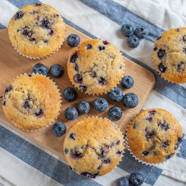 Melt in Your Mouth Blueberry Muffins