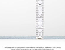 Load image into Gallery viewer, 9' x 12' Addison Rugs Chantille Gray Indoor/Outdoor Area Rug, Easy Clean, Machine Washable