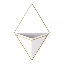Load image into Gallery viewer, Trigg Wall Display Planter White/Brass - Umbra
