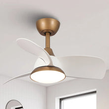 Load image into Gallery viewer, Haywa 28'' Ceiling Fan with LED Lights