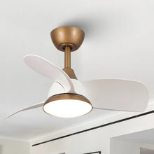 Load image into Gallery viewer, Haywa 28'' Ceiling Fan with LED Lights