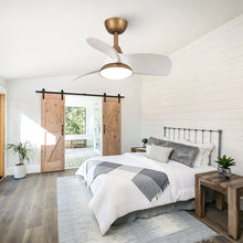 Load image into Gallery viewer, Haywa 28'' Ceiling Fan with LED Lights