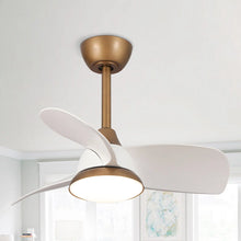 Load image into Gallery viewer, Haywa 28'' Ceiling Fan with LED Lights