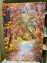 Load image into Gallery viewer, 48” Autumn Canvas Print Wall Art