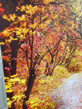 Load image into Gallery viewer, 48” Autumn Canvas Print Wall Art