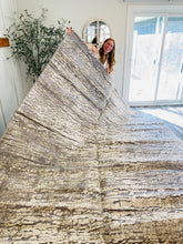 Load image into Gallery viewer, 9' x 12' Goble Abstract Taupe/Ivory/Silver Area Rug