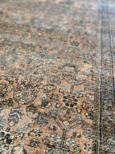 Load image into Gallery viewer, 8'6" x 11'6" Adrian Oriental Indoor Rug by Loloi