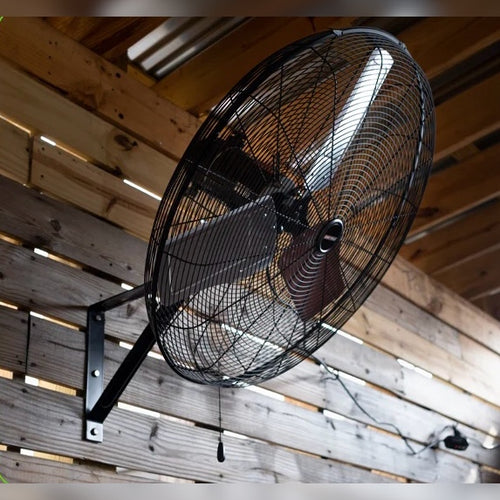OEMTOOLS 30-Inch Outdoor Oscillating Wall Mount Fan
