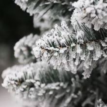 Load image into Gallery viewer, 7 ft. Green Lighted Flocked Spruce Artificial Christmas Tree