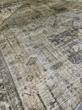 Load image into Gallery viewer, 9&#39; x 12&#39; Loloi Appolonie Oriental Indoor Rug