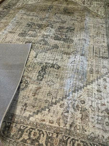9' x 12' Loloi Appolonie Oriental Indoor Rug