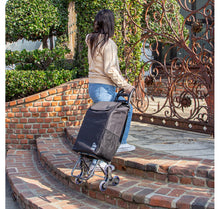 Load image into Gallery viewer, Stair Climber Trolley Dolly with Skate Wheels dbest, DUSTY ROSE