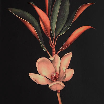 Wallflower Designed by Patrick St Germain