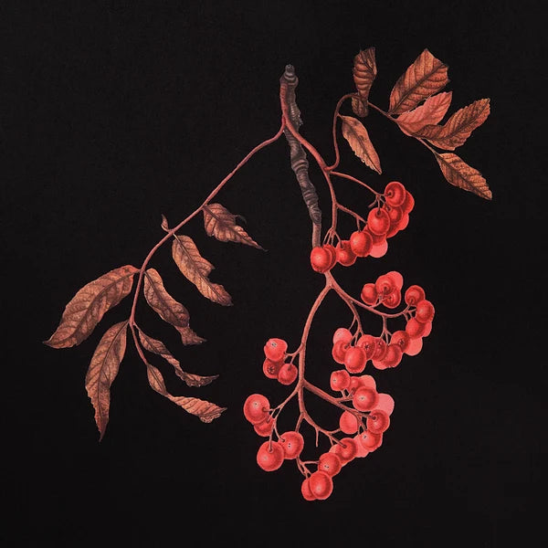 Wallflower Designed by Patrick St Germain