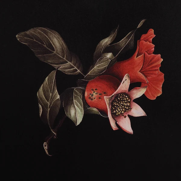 Wallflower Designed by Patrick St Germain