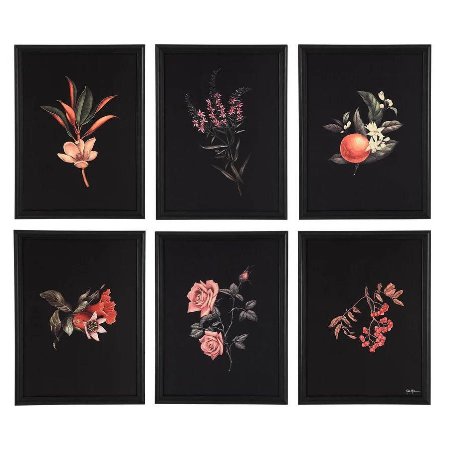 Wallflower Designed by Patrick St Germain