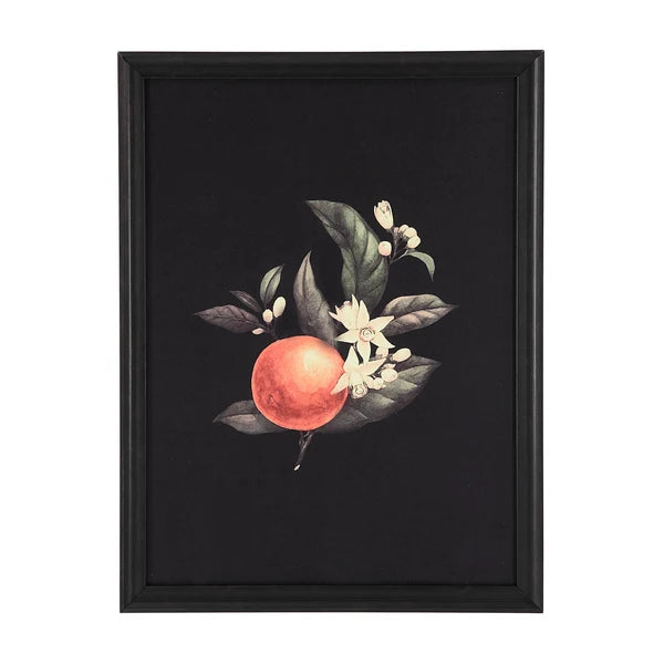 Wallflower Designed by Patrick St Germain