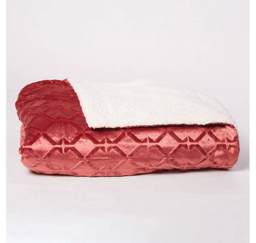 Home Suite Mink 50x70 Oversized throw w/sherpa bck - Clay