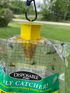 TRAPS IN SPRING 5pk Disposable Non Toxic Fly Traps