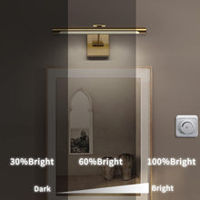 Load image into Gallery viewer, LED Picture Light Fixture