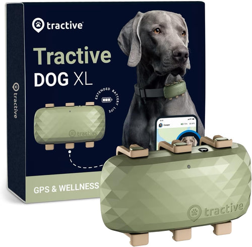 Tractive XL GPS Tracker for Large Dogs - Waterproof, GPS Location & Smart Pet Activity Tracker, Unlimited Range, Works with Any Collar (Green)