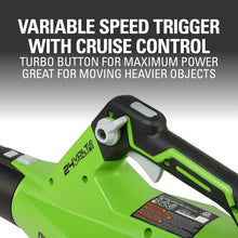 Load image into Gallery viewer, Greenworks 24V Brushless Axial Blower (110 MPH / 450 CFM), 4Ah USB Battery and Charger Included BL24L410