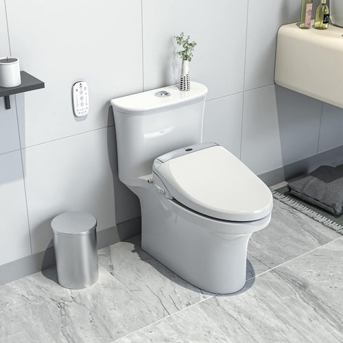 LEIVI Electric Bidet Smart Toilet Seat with Dual Control Mode