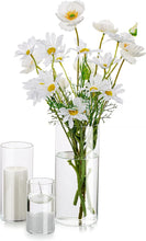Load image into Gallery viewer, Glasseam Glass Cylinder Vases (Set of 3)