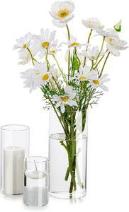 Glasseam Glass Cylinder Vases (Set of 3)