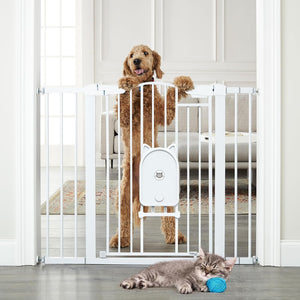 Cumbor 36 Extra Tall Durable Baby Gate with Cat Door Wayless