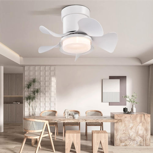Neatmeat Quiet Ceiling Fan with LED Light