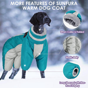 Dog jacket with sleeves best sale