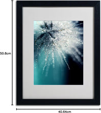 Load image into Gallery viewer, Trademark Fine Art Morning Sonata Artwork by Beata Czyzowska Young, 16 by 20-Inch, Black Frame