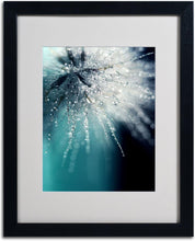 Load image into Gallery viewer, Trademark Fine Art Morning Sonata Artwork by Beata Czyzowska Young, 16 by 20-Inch, Black Frame