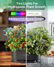 Load image into Gallery viewer, RGBING 15 Pods Hydroponics Growing System Indoor SmartGarden