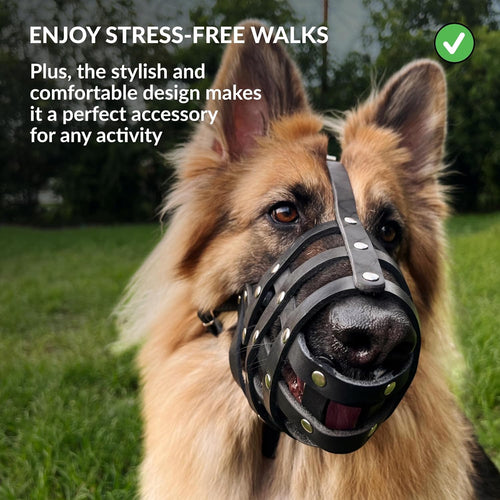 CollarDirect Dog Muzzle - Medium