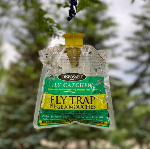 TRAPS IN SPRING 5pk Disposable Non Toxic Fly Traps
