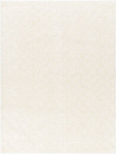 Load image into Gallery viewer, 7&#39;10&quot; x 10&#39; Aalisha Machine Woven Polyester Area Rug in Cream/Beige
