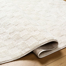 Load image into Gallery viewer, 7&#39;10&quot; x 10&#39; Aalisha Machine Woven Polyester Area Rug in Cream/Beige