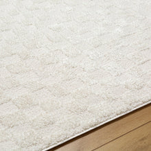 Load image into Gallery viewer, 7&#39;10&quot; x 10&#39; Aalisha Machine Woven Polyester Area Rug in Cream/Beige