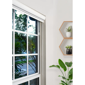Ahyaan Sheer Roller Shade 22" X 78"  White