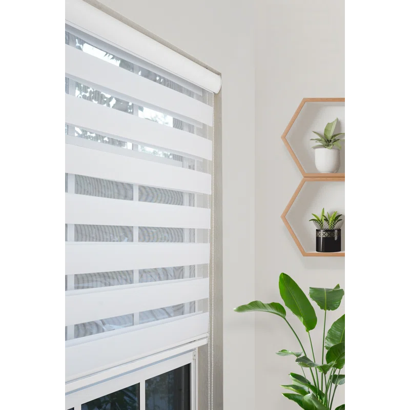 Ahyaan Sheer Roller Shade 22