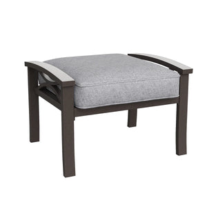 Dorisann Iron Outdoor Ottoman with Cushion (Set of 2)