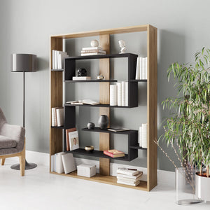 Fembra Geometric Bookcase, Oud Oak/Black
