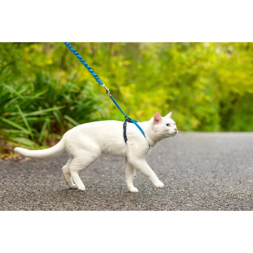 PetSafe Come with Me Kitty and Bungee Adjustable Leash Cat Harness - Blue SMALL