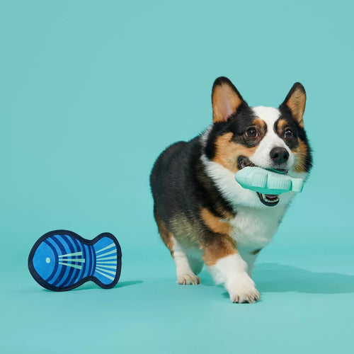 BARK Super Chewer Blue Rad Herring Fish Dog Toy