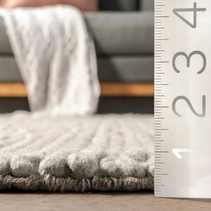6' x 9' Handmade Braided Wool Light Grey Rug