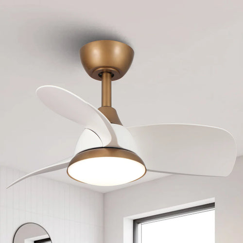 Haywa 28'' Ceiling Fan with LED Lights