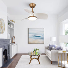 Load image into Gallery viewer, Haywa 28&#39;&#39; Ceiling Fan with LED Lights