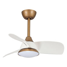 Load image into Gallery viewer, Haywa 28&#39;&#39; Ceiling Fan with LED Lights